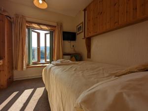 布莱奈费斯蒂尼奥格Bryn Elltyd Eco House的一间卧室设有一张大床和一个窗户。