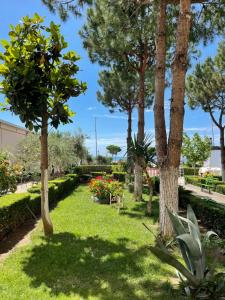 圣金Vila Beni的种有树木、长凳和鲜花的公园