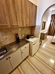 莱夫基米Alexandra Studio 10的厨房配有木制橱柜和台面
