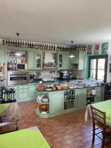 阿尔比尼娅洛坎达乐曼德利亚内酒店的一个带绿色橱柜和电器的大厨房