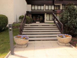 巴特霍夫加施泰因Apartment Orlic by Interhome的一座带楼梯和两盆鲜花的建筑