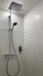 拉蒙塔涅Maison Divon的浴室内配有淋浴和头顶淋浴