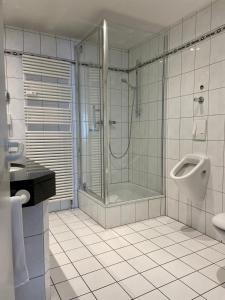 维特利希温特赫尔酒店的带淋浴、盥洗盆和小便器的浴室