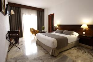 瓦伦西亚图里亚酒店的一间设有大床和窗户的酒店客房