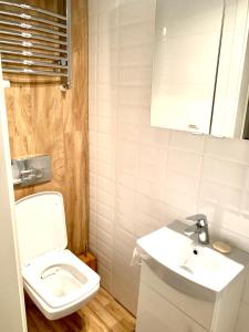 弗罗茨瓦夫1 Bedroom Lux Apartment Center Vincent的白色的浴室设有卫生间和水槽。