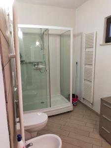 卡斯塔涅托卡尔杜奇Mini appartamento in campagna的带淋浴、卫生间和盥洗盆的浴室