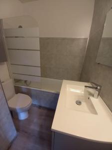 阿克斯莱泰尔姆location Appartement Bonascre toutes saisons的浴室配有白色水槽和卫生间。