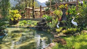 萨纳Pousada Sítio Val Paraíso的花园中的一个池塘,里面有天鹅
