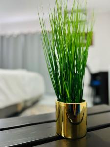 马翁Maun Nest Hotel的金花瓶,桌子上放着绿草