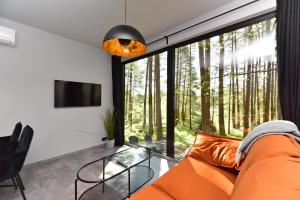 Luokesos SenPremium Forest Bungalow with Ofuro Tub的客厅配有橙色沙发和大窗户