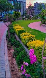 拉瓦尔品第Fasil-Town Rooms Near Isb Air port的公园里种着粉红色和黄色花的花园