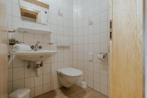 Gurtis伯格霍夫莱泽酒店的一间带卫生间和水槽的浴室