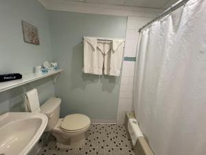 威尔伍德克拉斯特Barcelona Motel的浴室配有卫生间、盥洗盆和淋浴。