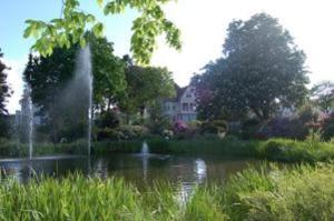 库克斯港黛琪沃吉别墅酒店的一座房子前面的池塘,喷泉