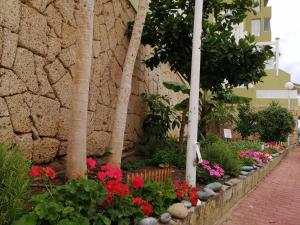 阿德耶Apartamento Costa Adeje - Orlando Complex的花草树木花园,毗邻石墙