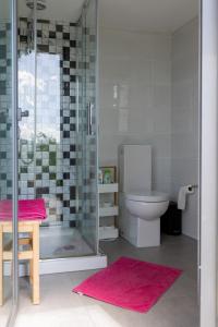 LongosThe Pool House的一间带卫生间和玻璃淋浴间的浴室