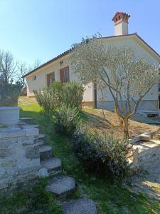 普罗明House in Istria的前面有树和楼梯的房子