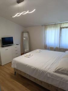普罗明House in Istria的卧室配有白色的床和电视。