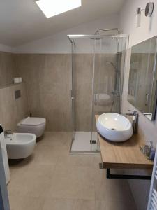 普罗明House in Istria的带淋浴、盥洗盆和卫生间的浴室