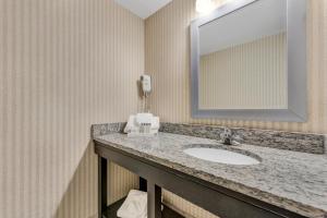 奇克托瓦加Buffalo Airport Hotel的一间带水槽和镜子的浴室