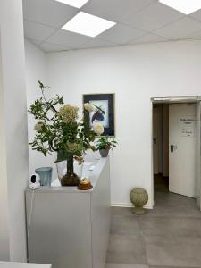 维特利希温特赫尔酒店的柜台上放着鲜花和植物的房间