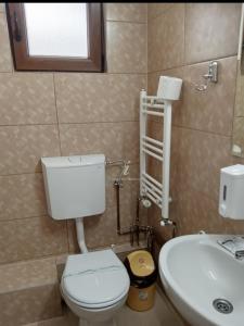 阿列谢尼Casa Andreea的一间带卫生间和水槽的浴室