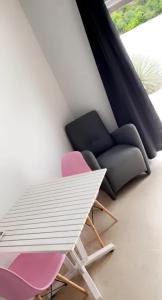 威廉斯塔德Apartment Curacao的客厅配有粉红色的椅子和沙发