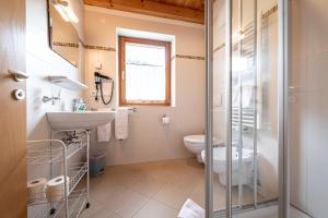 安泰塞尔瓦·迪·梅佐Apartments Nature Apis Landheim的浴室配有卫生间、盥洗盆和淋浴。