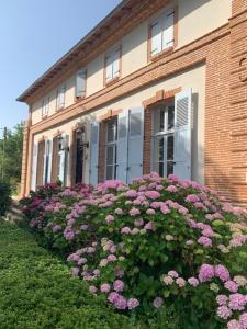 Lacourt-Saint-PierreGite ANDA- piscine- Montauban - Lacourt-Saint-Pierre的前面有粉红色花的房子