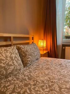 布鲁塞尔Superbe appartement avec jardin, sauna et jacuzzi的一间卧室配有床、灯和窗户