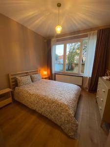 布鲁塞尔Superbe appartement avec jardin, sauna et jacuzzi的一间卧室设有一张床和一个大窗户