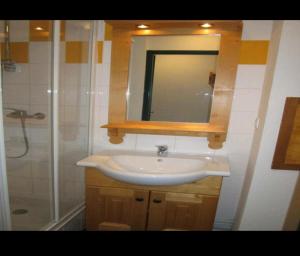 瓦卢瓦尔Résidence les chalets du Galibier Piscine Sauna Hammam WIFI的一间带水槽、淋浴和镜子的浴室