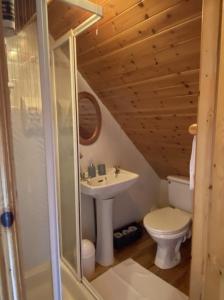 Aughrus MoreLands End Cottage - Connemara的小屋内的浴室设有盥洗盆和卫生间