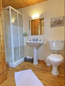 Aughrus MoreLands End Cottage - Connemara的带淋浴、卫生间和盥洗盆的浴室