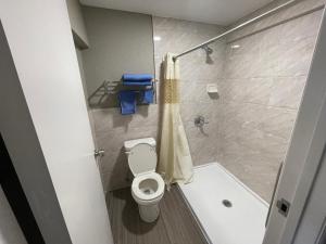 圣贝纳迪诺Starlite Motel的一间带卫生间和淋浴的浴室