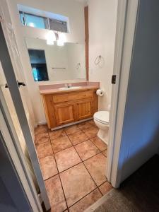 米德派恩斯熊溪小屋酒店的一间带水槽、卫生间和镜子的浴室