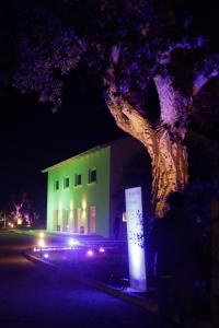 丰迪Casabianca Resort的夜晚在建筑物前的树