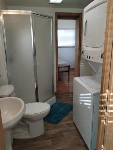 荷马Sky Harbor Cabin - Homer Seaplane Base的浴室配有卫生间、淋浴和盥洗盆。