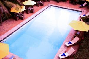 内罗毕比德伍德套房酒店 的享有带椅子和遮阳伞的游泳池的上方景色