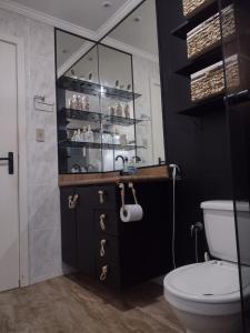 塞拉Leotel hospedagem的一间带卫生间、水槽和镜子的浴室