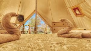圣佩德罗·德·阿塔卡马Glamping Dunas del sol的帐篷内床边的一双帐篷