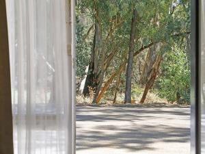 弗林德斯山脉维尔盆纳庞德度假酒店的开放式窗户,享有树木繁茂的道路景色