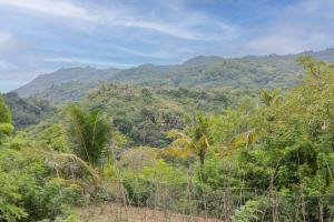 珀尼达岛Batang Golden Hills的享有背景的森林美景
