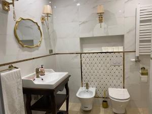 克拉科夫Radiance Residence的一间带水槽、卫生间和镜子的浴室