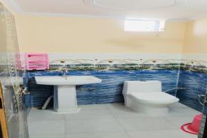 JhājharSuper OYO Riverview Resort And Restaurant的一间带卫生间和水槽的浴室