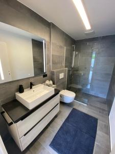 杜伦斯坦Apartments Loim Lodge的一间带水槽、卫生间和镜子的浴室