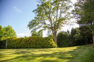 哈瑟西奇Sladen Lodge的中间有树的大草坪