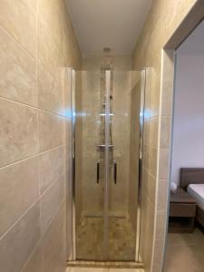 勒米伊Villa Triskyl的浴室里设有玻璃门淋浴