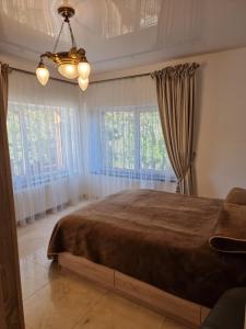 德鲁斯基宁凯Druskininkai Algida的一间卧室配有一张大床、窗帘和吊灯。
