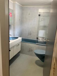 谢尔La Lanterne的浴室设有蓝色的卫生间和水槽。